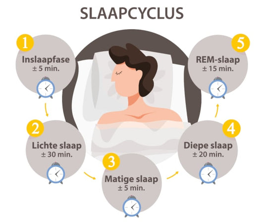 De 90 minuten slaapcyclus